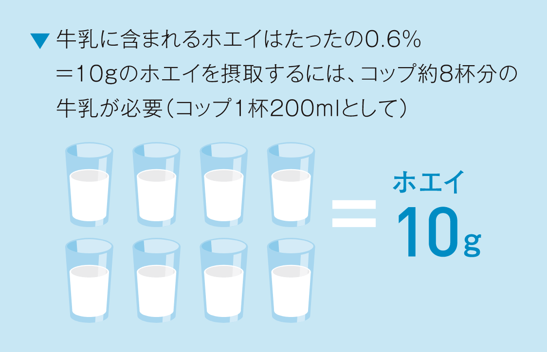 牛乳に含まれるホエイはたったの0.6%＝10gのホエイを摂取するには、コップ約8杯分の牛乳が必要（コップ1杯200mlとして）
※出典：山内ら編「牛乳成分の特徴と健康」.光生館. 1993